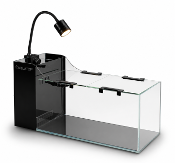 Aquatop AquaFin 5-Gallon Desktop Aquarium Kit — Curved Glass, Hidden Filtration, LED Light
